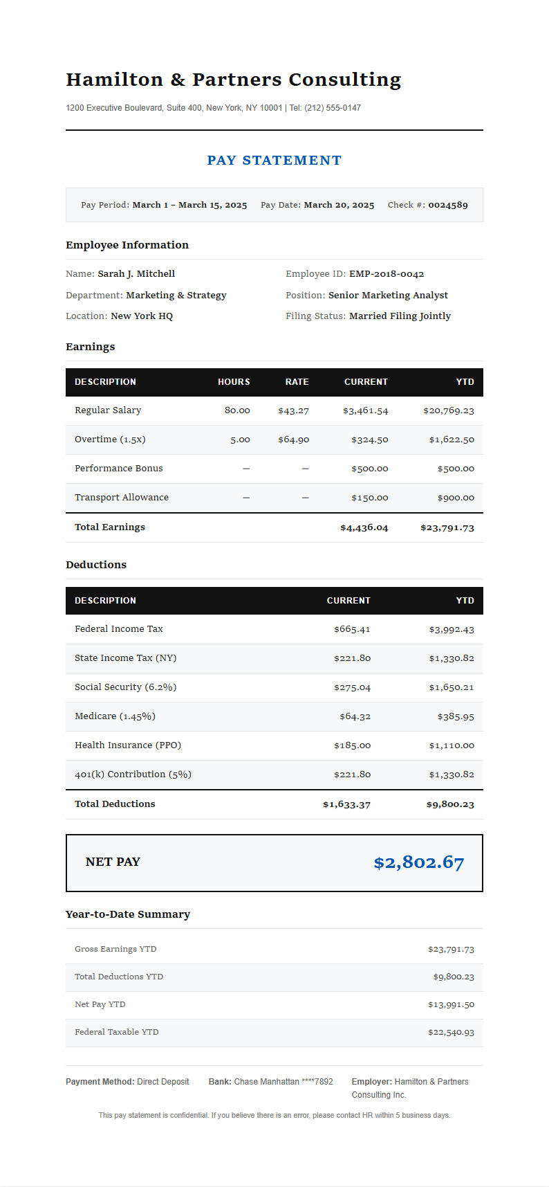 Classic Professional Payslip